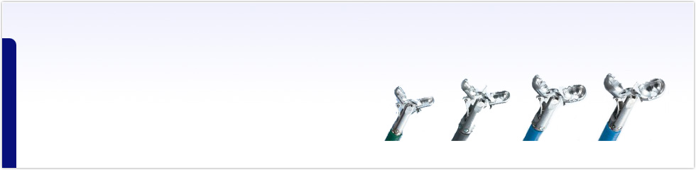 Biopsy Forceps Biopsy Forceps